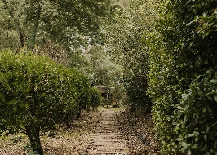 Casa Barragem Castelo De Bode Casa de Férias Tomar